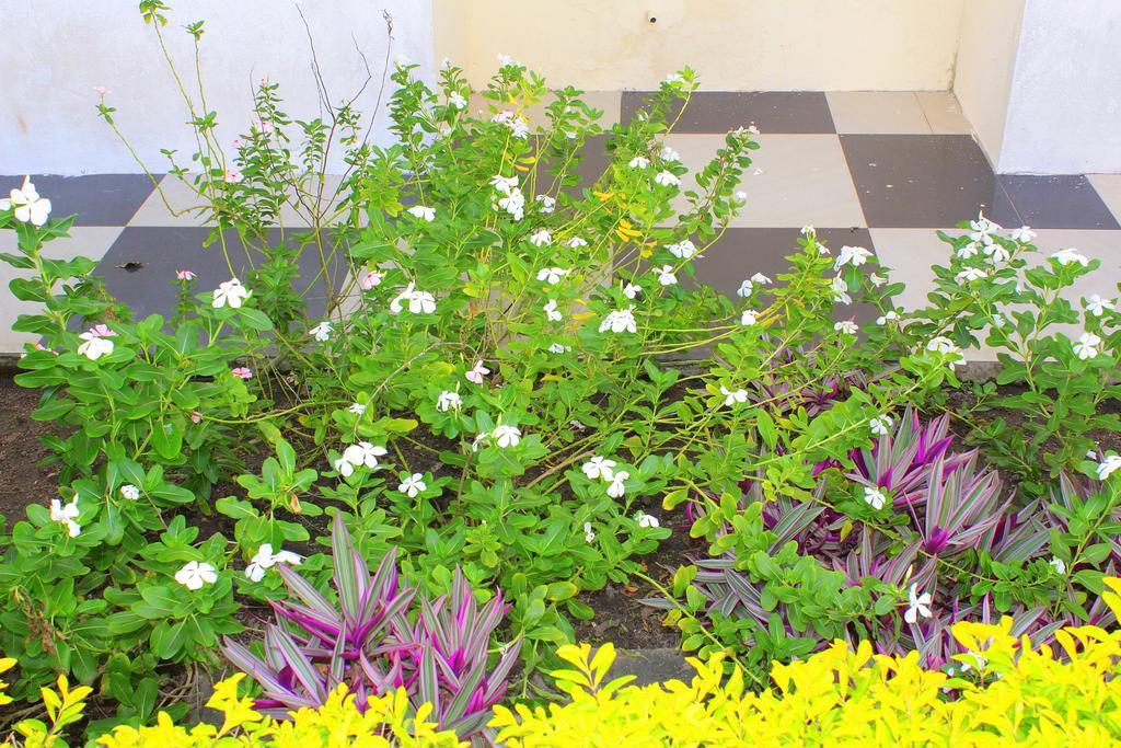 Hotel Loreto Cape Coast Zewnętrze zdjęcie